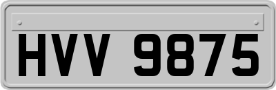 HVV9875