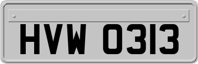 HVW0313