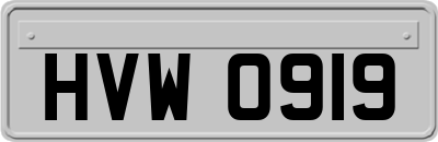 HVW0919