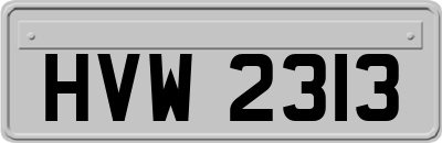 HVW2313