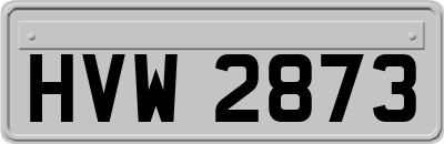 HVW2873