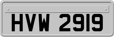 HVW2919