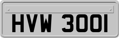 HVW3001