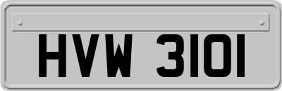 HVW3101