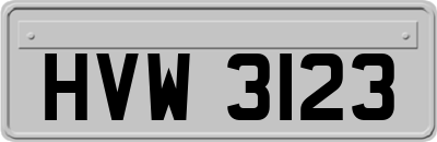 HVW3123