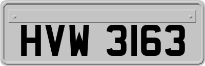 HVW3163