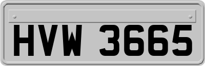HVW3665