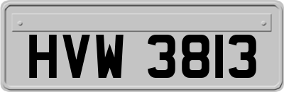 HVW3813