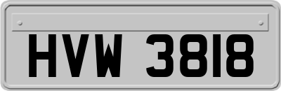 HVW3818