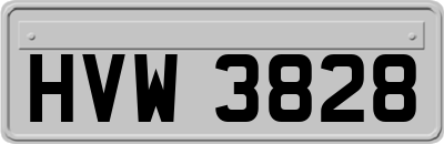 HVW3828