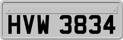 HVW3834
