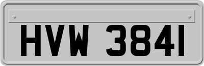 HVW3841
