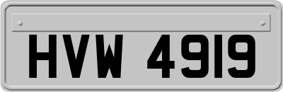 HVW4919