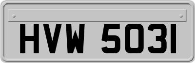 HVW5031
