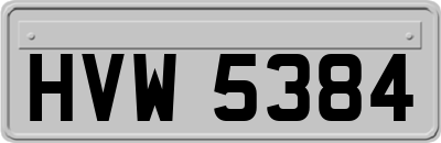 HVW5384