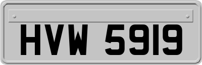 HVW5919