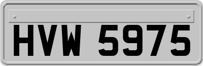 HVW5975