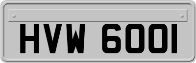 HVW6001