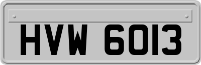 HVW6013