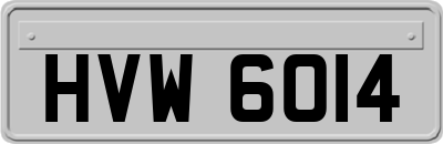 HVW6014