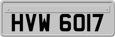 HVW6017