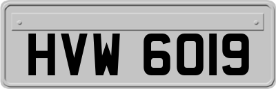 HVW6019