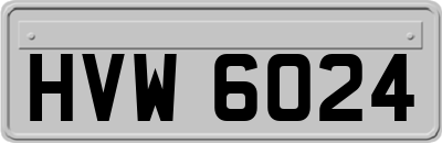 HVW6024