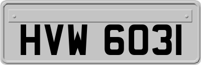 HVW6031