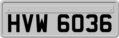HVW6036