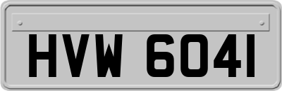 HVW6041