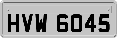 HVW6045