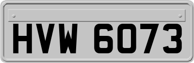 HVW6073