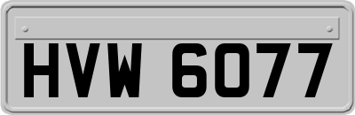 HVW6077