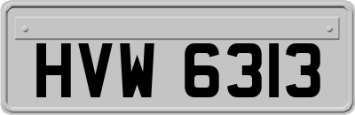 HVW6313