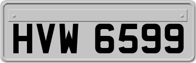 HVW6599