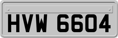 HVW6604