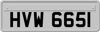 HVW6651