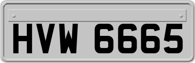 HVW6665