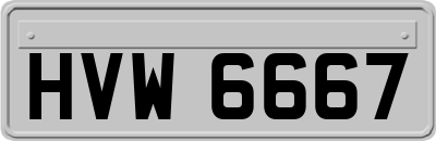 HVW6667