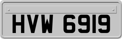 HVW6919