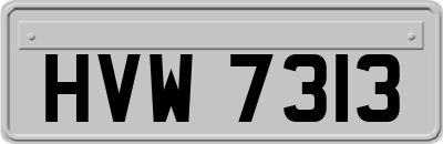 HVW7313