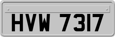 HVW7317