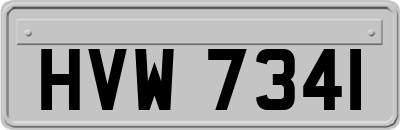 HVW7341