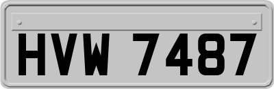 HVW7487