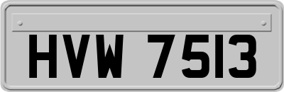 HVW7513