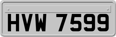 HVW7599
