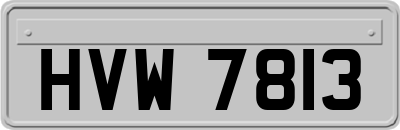 HVW7813