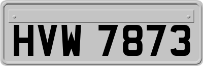 HVW7873