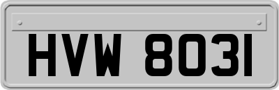 HVW8031