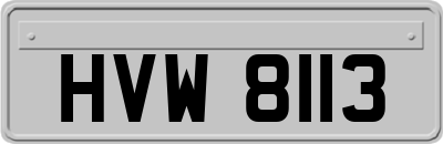 HVW8113